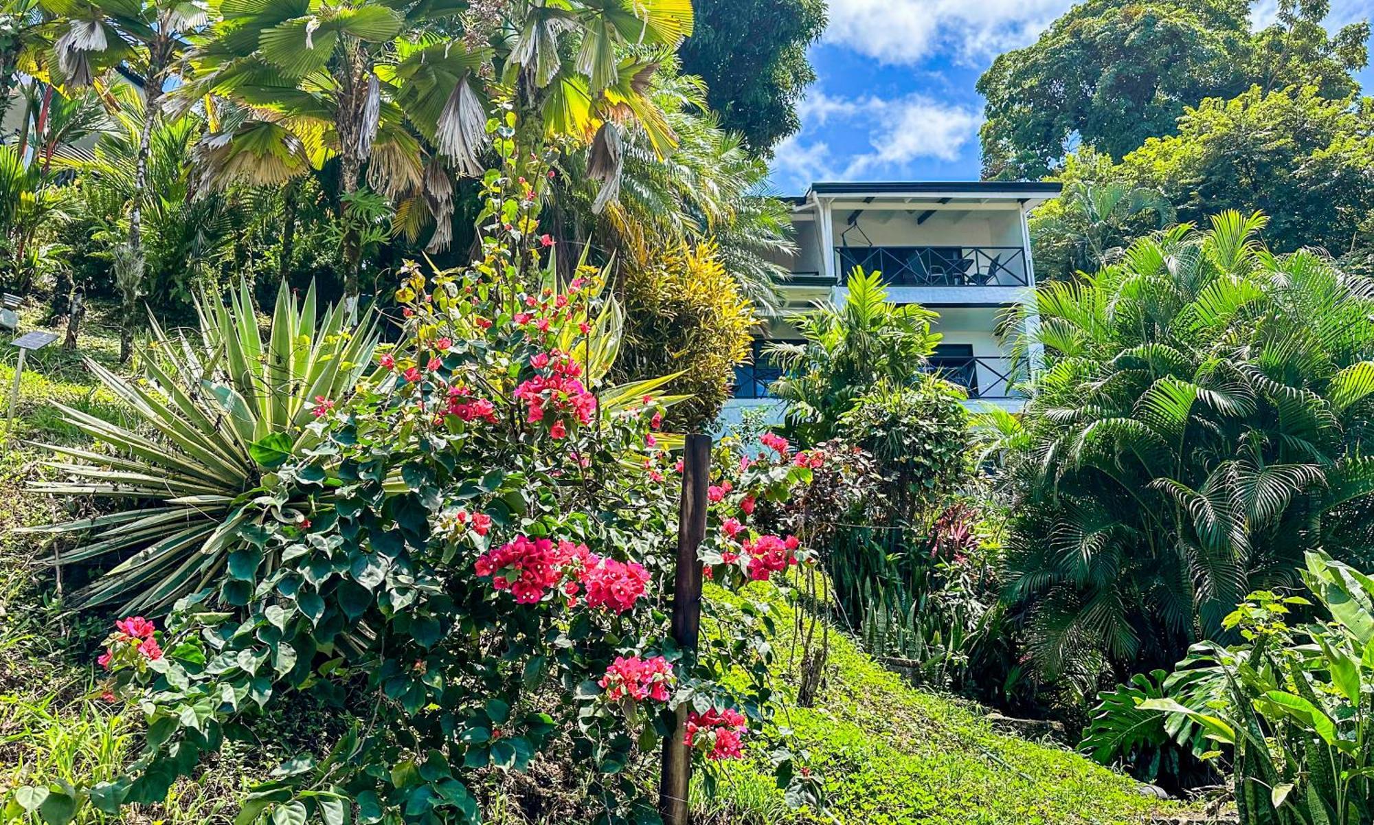 Villa Roca Boutique Resort & Suites - Adult Only Nationalpark Nationalpark Manuel Antonio Exterior foto